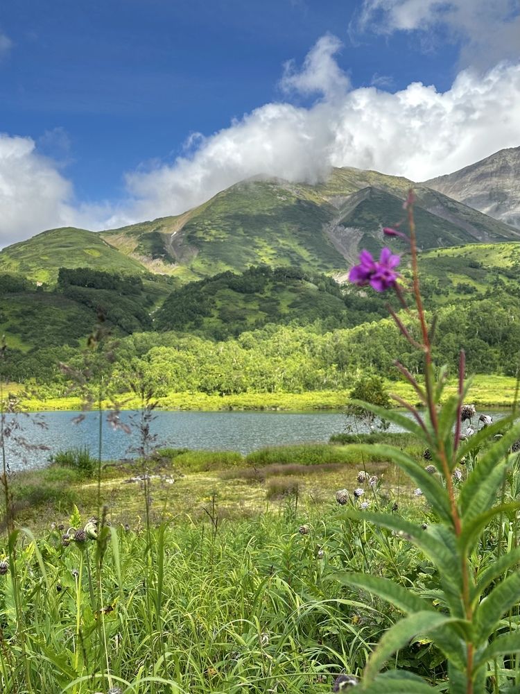 Фотография автора Яврова Татьяна