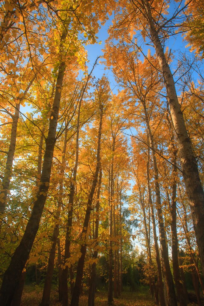 Photograph by Евгений Анисимов