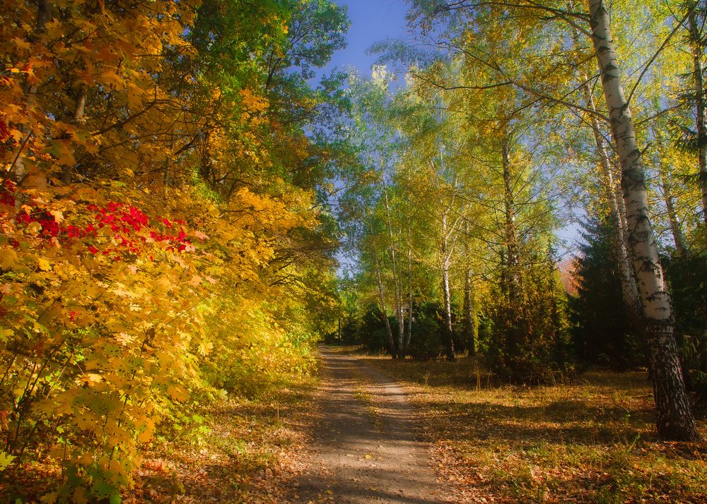 Photograph by Евгений Анисимов