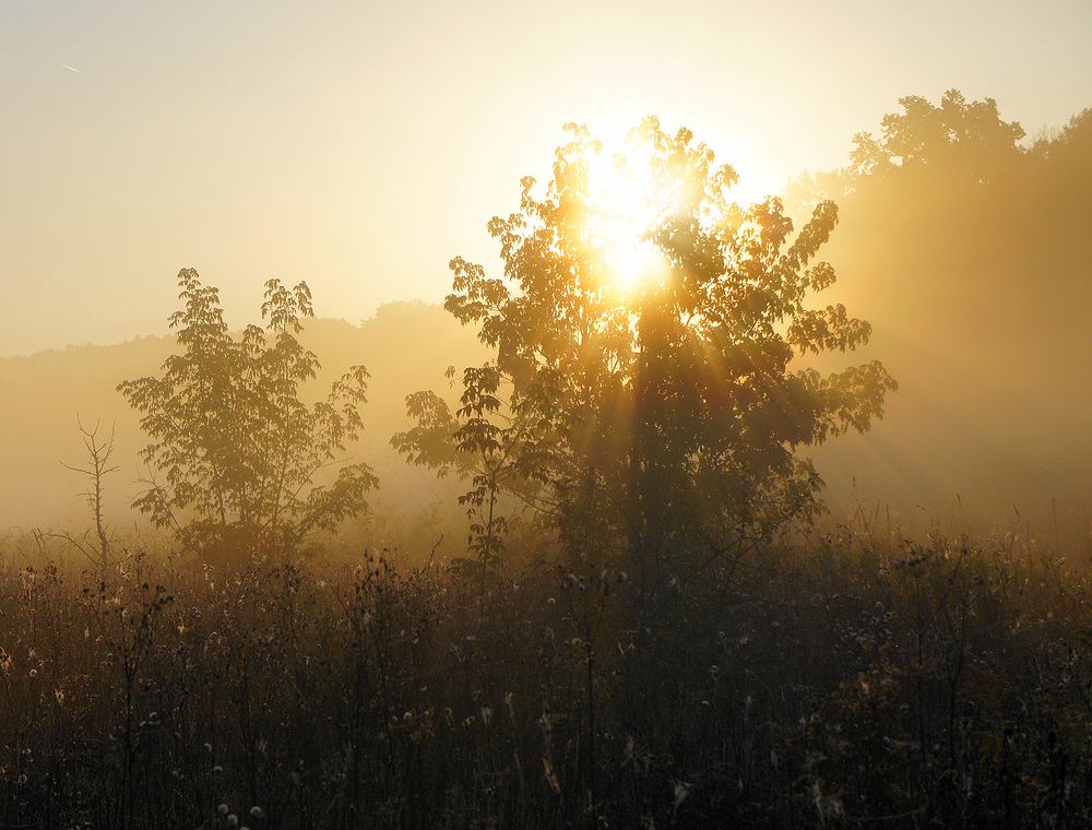 Photograph by Вячеслав Швецов