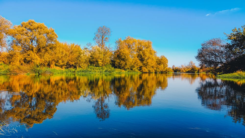 Photograph by Александр Елизаров