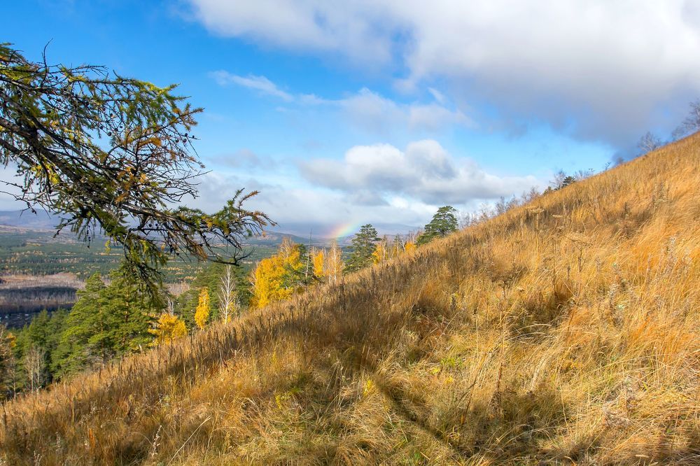 Photograph by Алексей Трухин