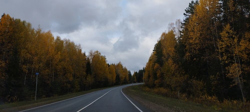 Дорога в осень