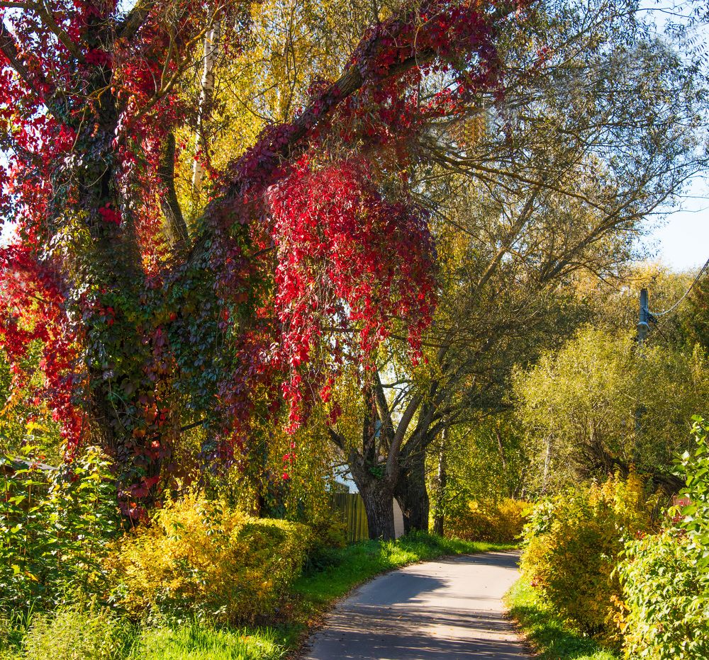 Photograph by Владимир Безбородов
