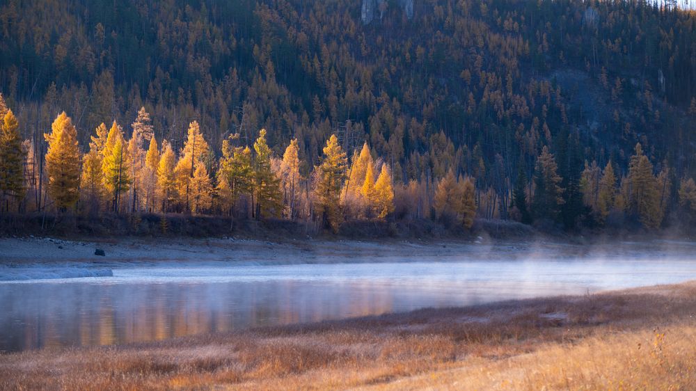 Утренний туман