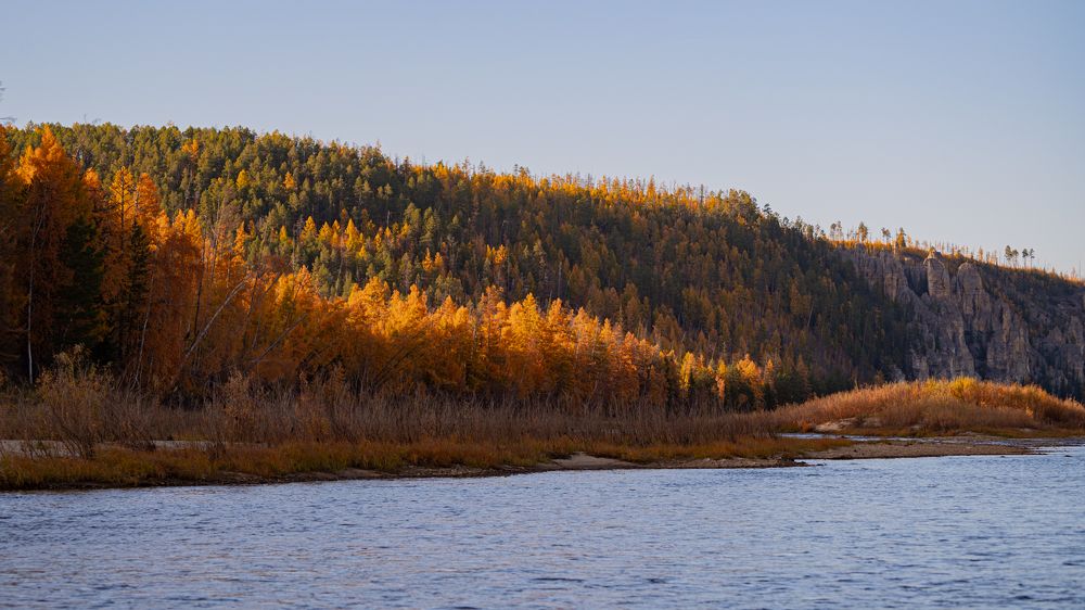 Золотой закат
