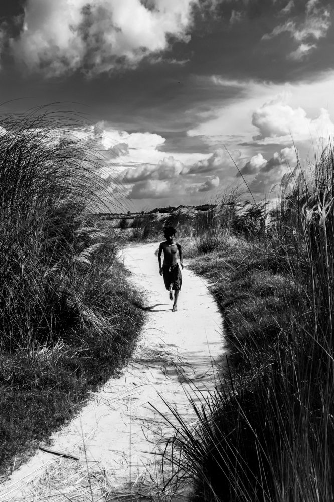 Chasing dream