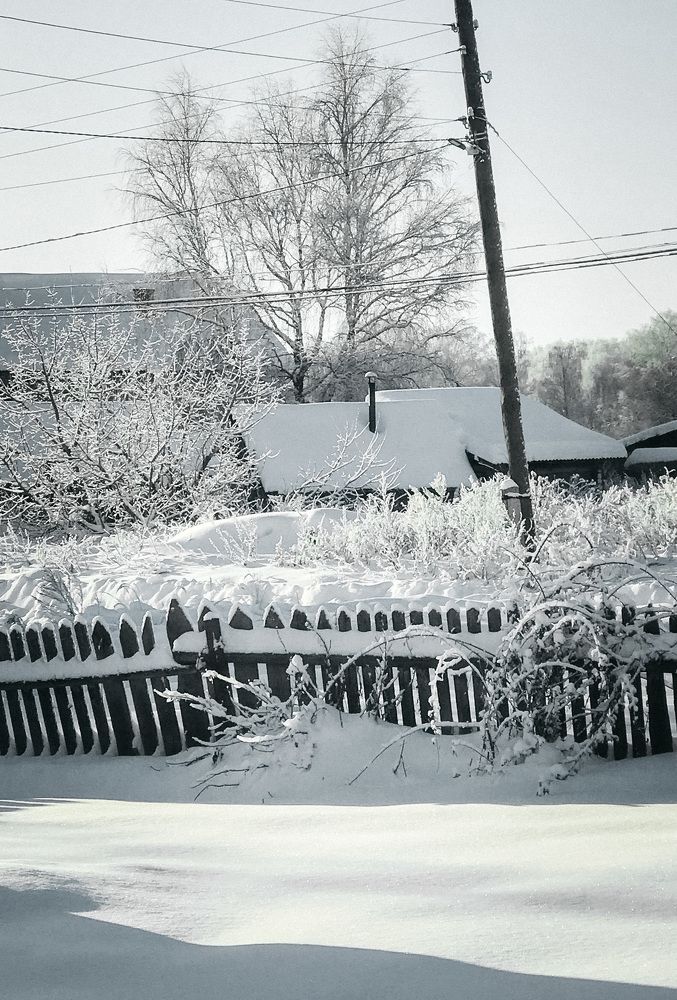 Photograph by Дерягина Татьяна