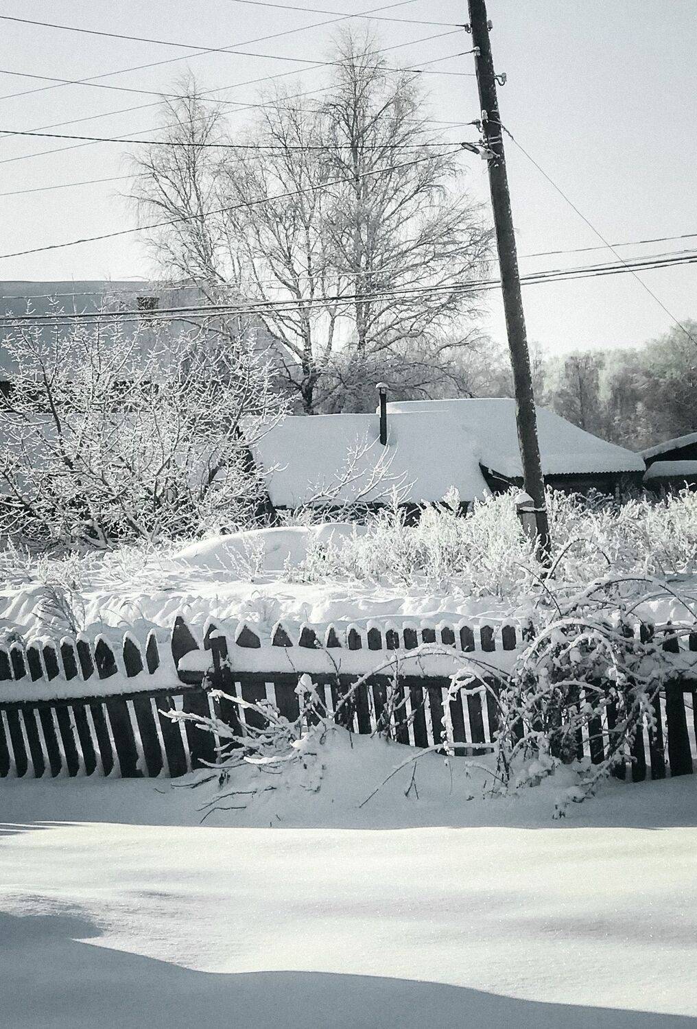 Photo #9575035
