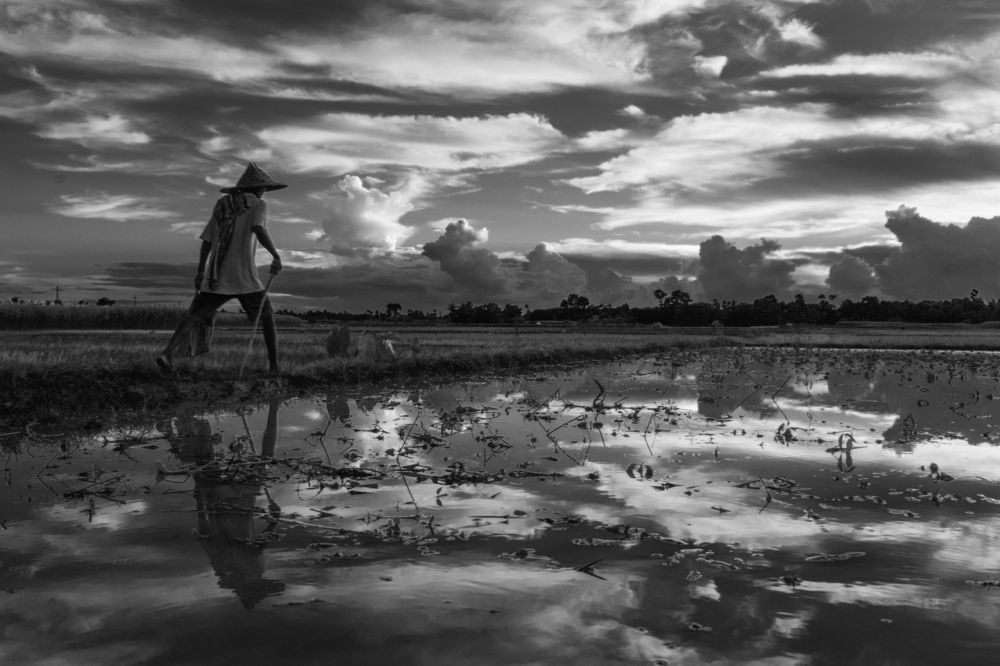 Photograph by Kajal Bala