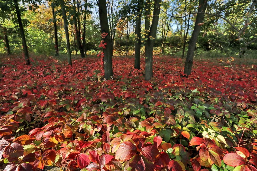 Photograph by Владимир Подкуйко