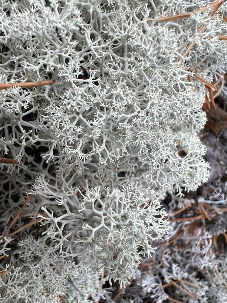 Photograph by Анна