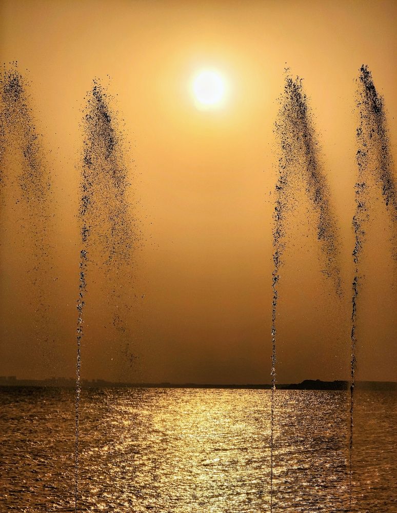 Photograph by Georgi Tomov