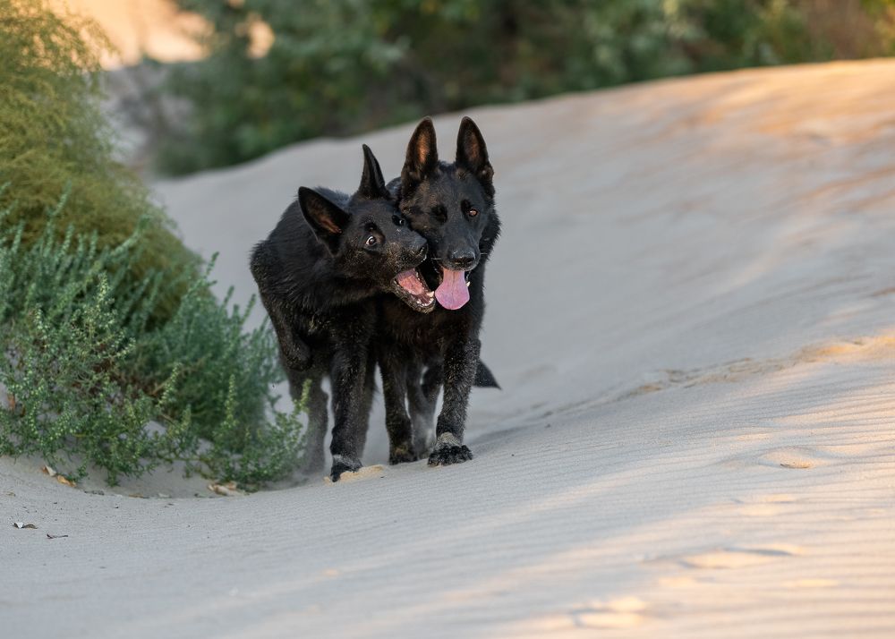 Photograph by Наталья Орел