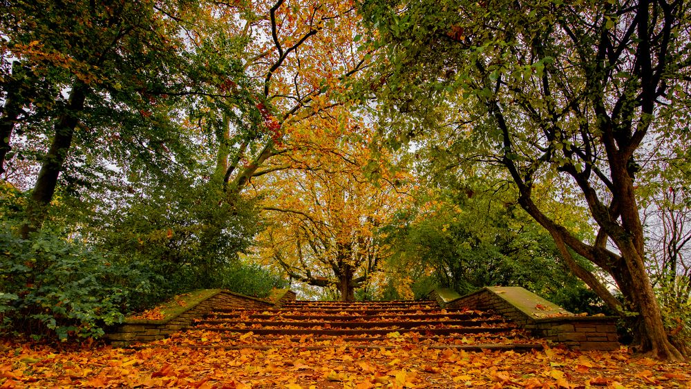 Фотография автора Utathya Roy