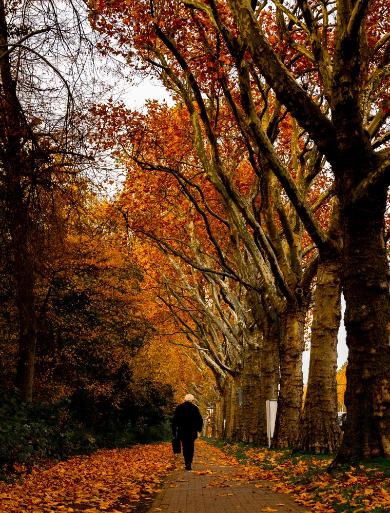 Фотография автора Utathya Roy