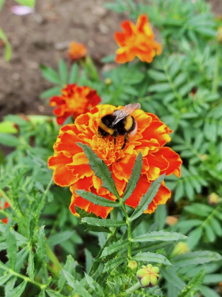 Photograph by Надежда