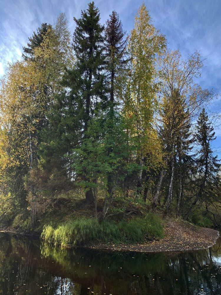 Photograph by Наталья Бирук