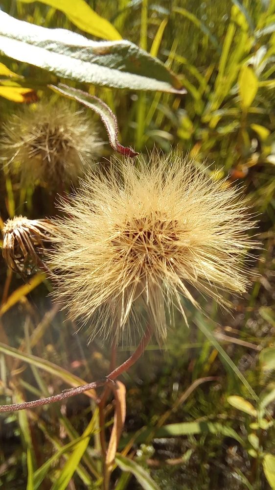 Фотография автора Евгения Зайцева