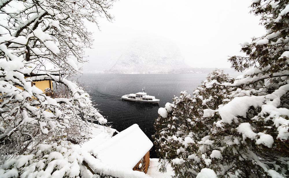 Фотография автора Utathya Roy