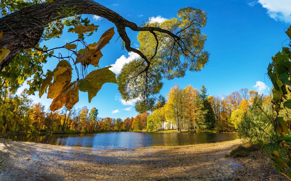 Photograph by Алексей Маринченко