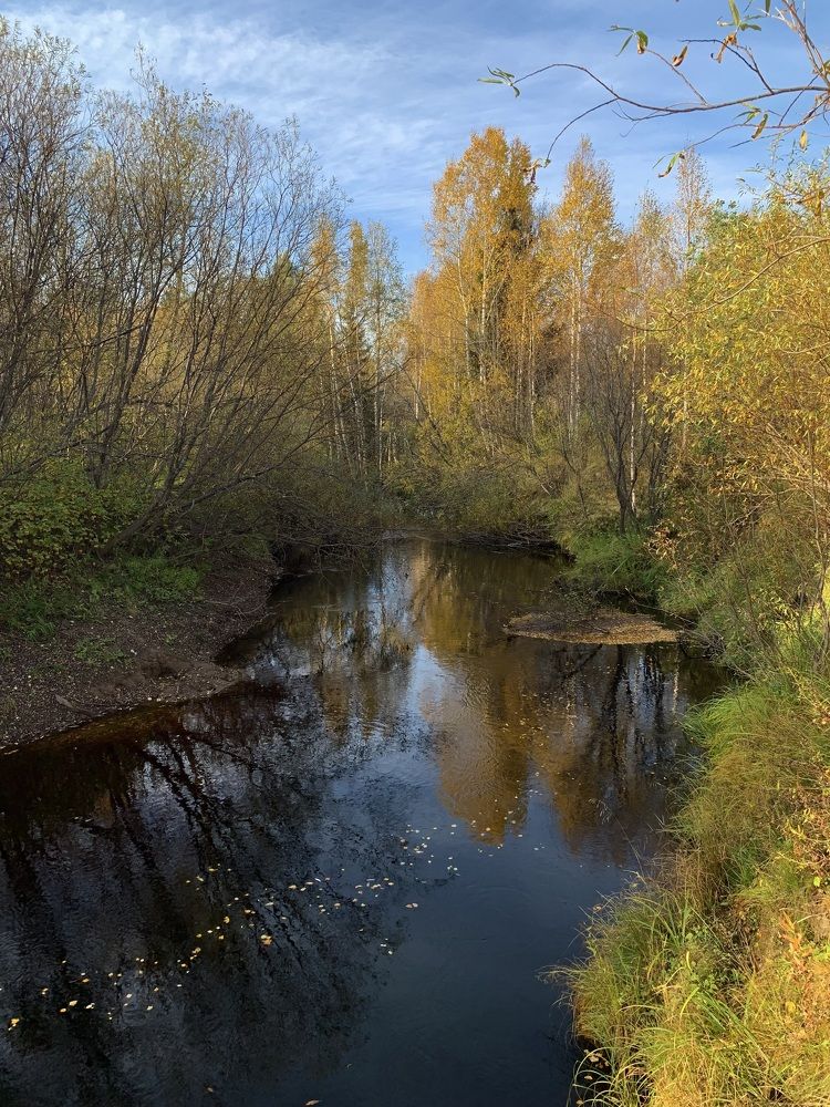 Photograph by Наталья Бирук