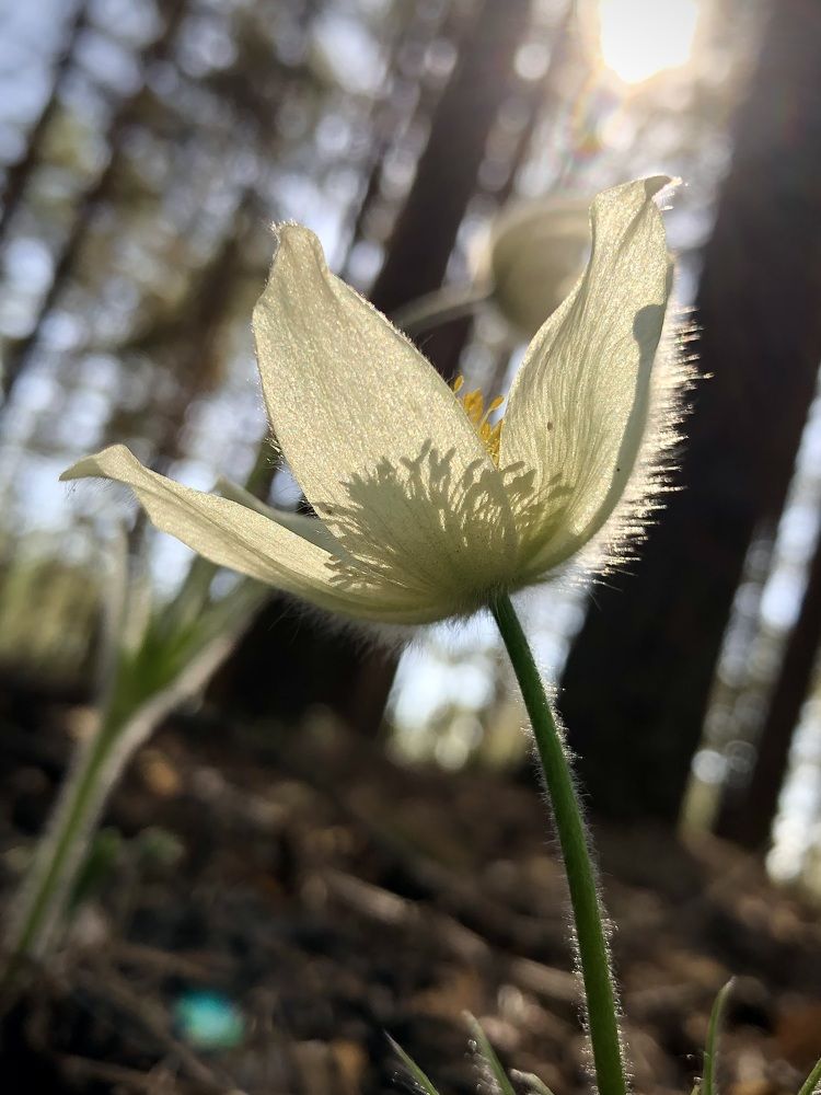 Фотография автора Евгения Елисеева