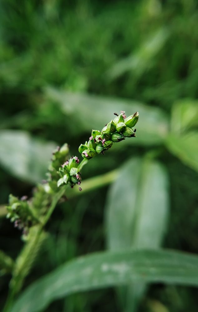 Photograph by Sourav pramanik