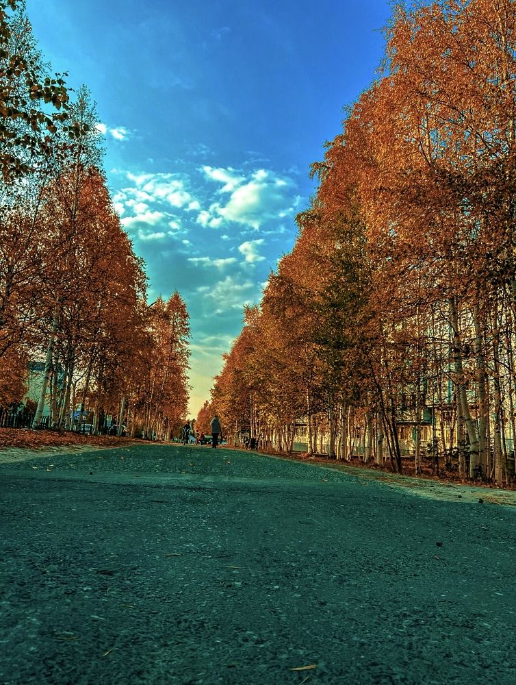 Фотография автора Анастасия Никифорова