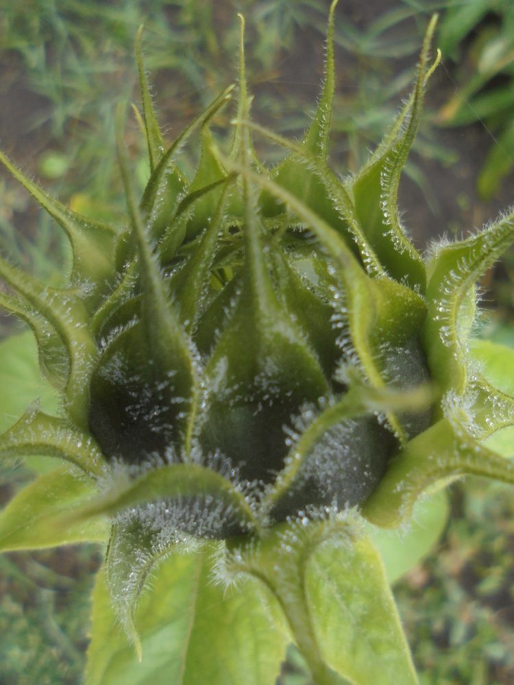 Только вверх!