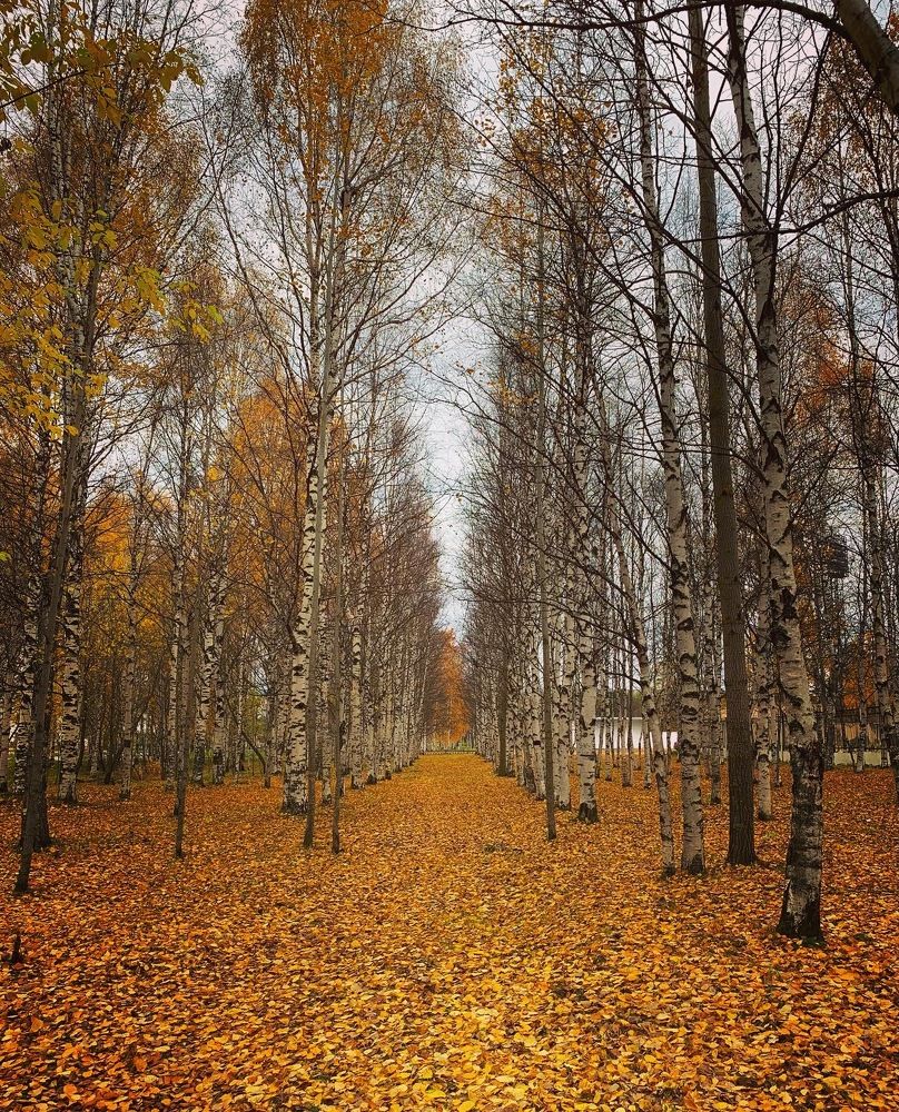 Photograph by Наталья Бирук