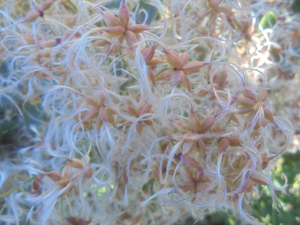 ...  уже осень.