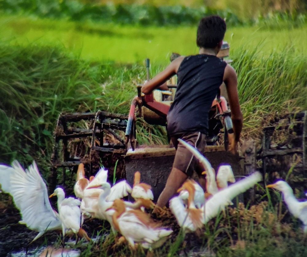 Photograph by Sourav pramanik