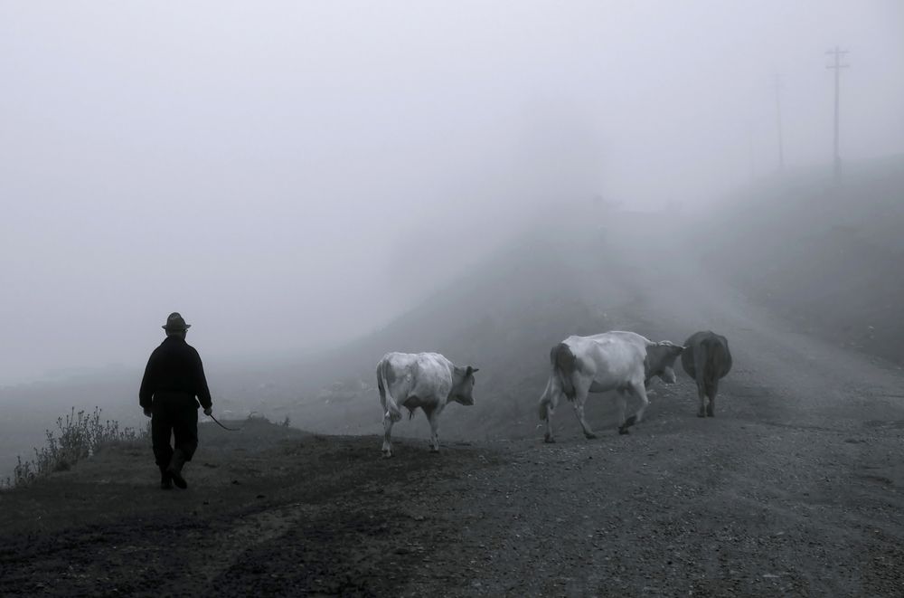 Photograph by Илфир Исламгазин