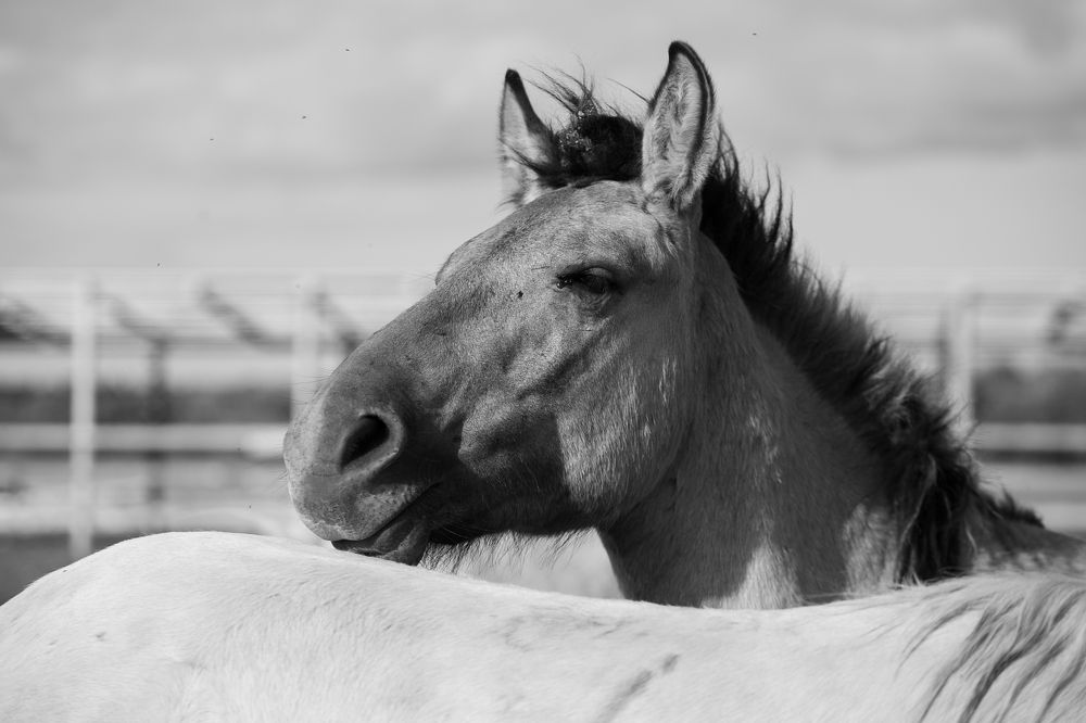 Фотография автора Татьяна Перминова