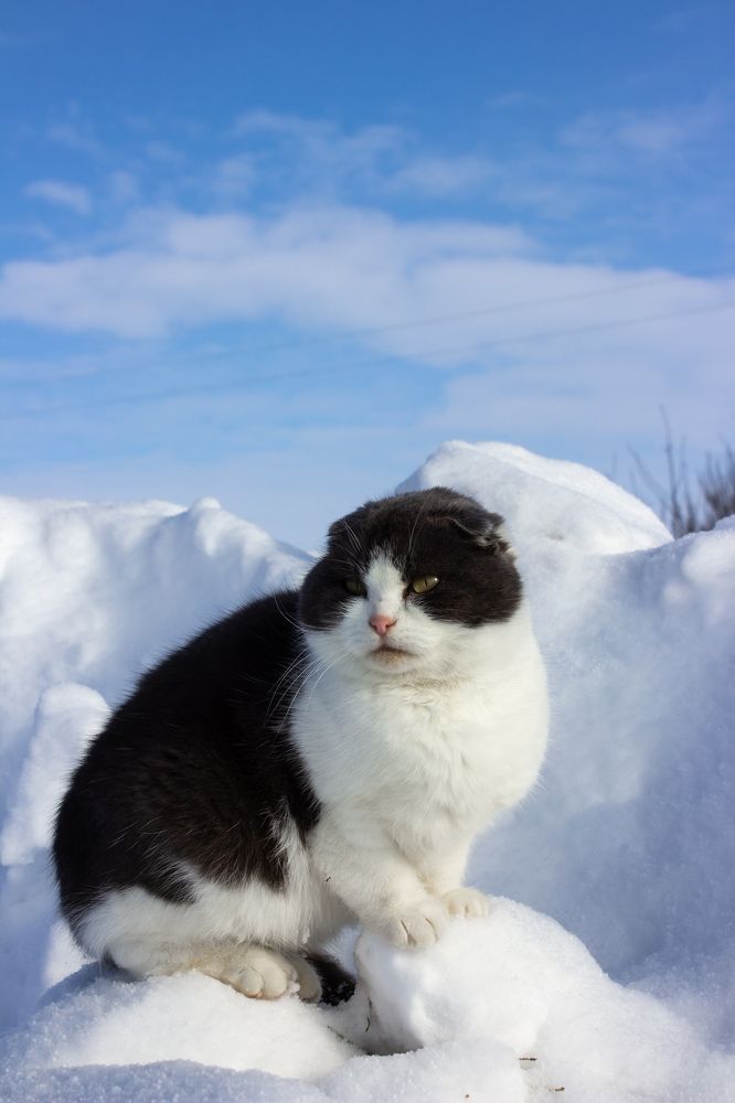 Photograph by Татьяна Конаева
