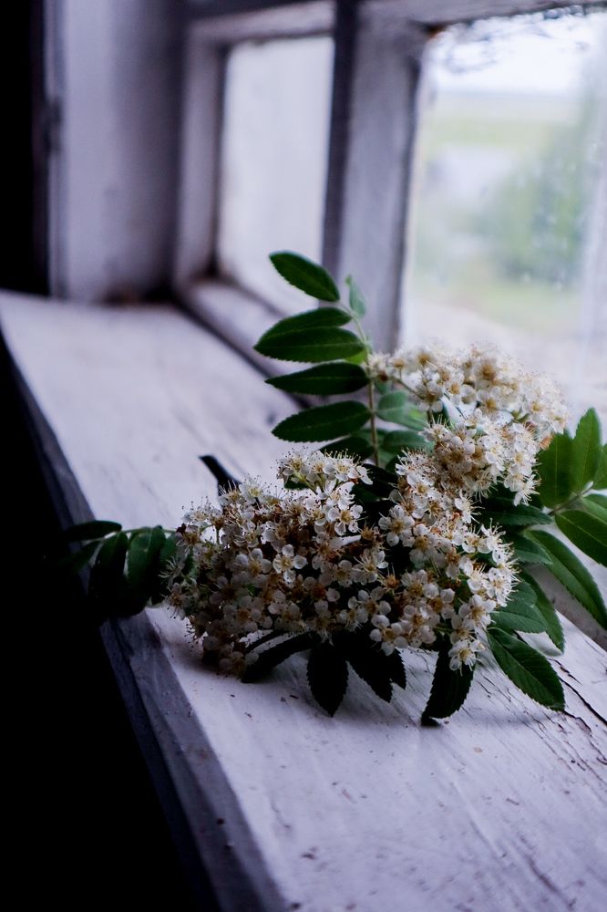 Photograph by Наталья Исаева