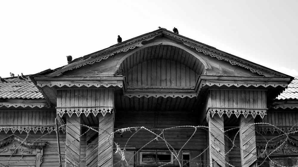 Photograph by Галина Купцова