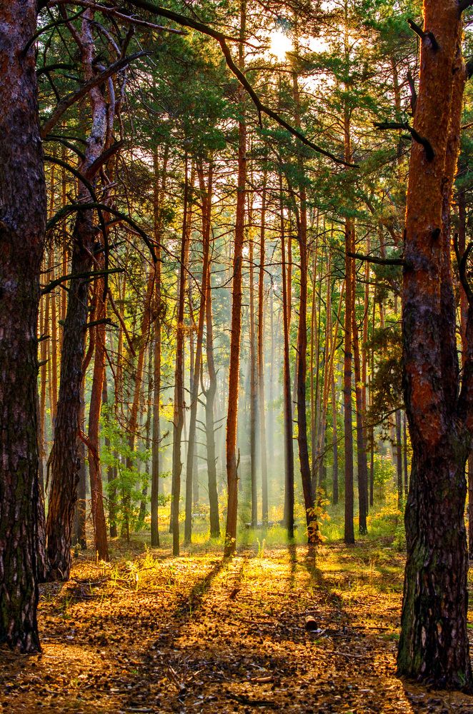 Photograph by Евгений Каримов