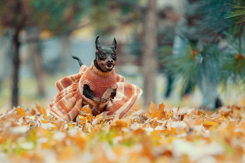 Фотография автора Гера Восьмая