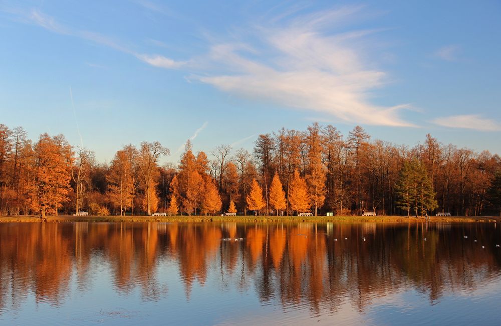 Осенью в парке