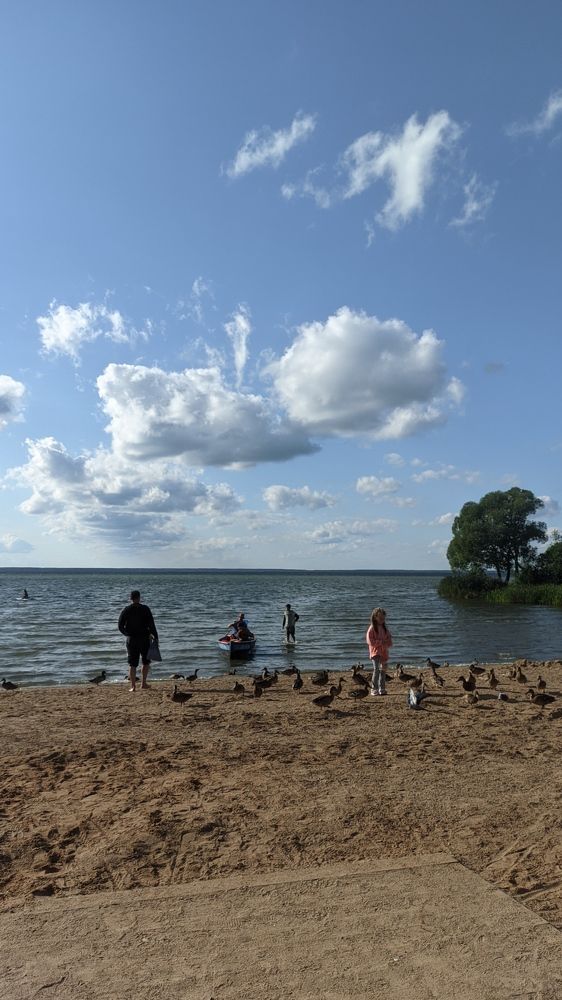 Фотография автора Васильева Ирина