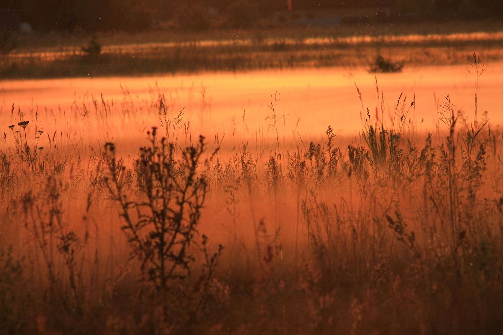 Photograph by Анастасия Псарёва