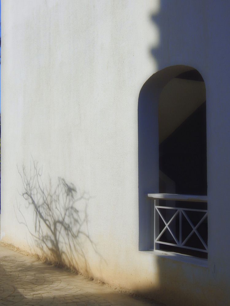 Photo #9575375