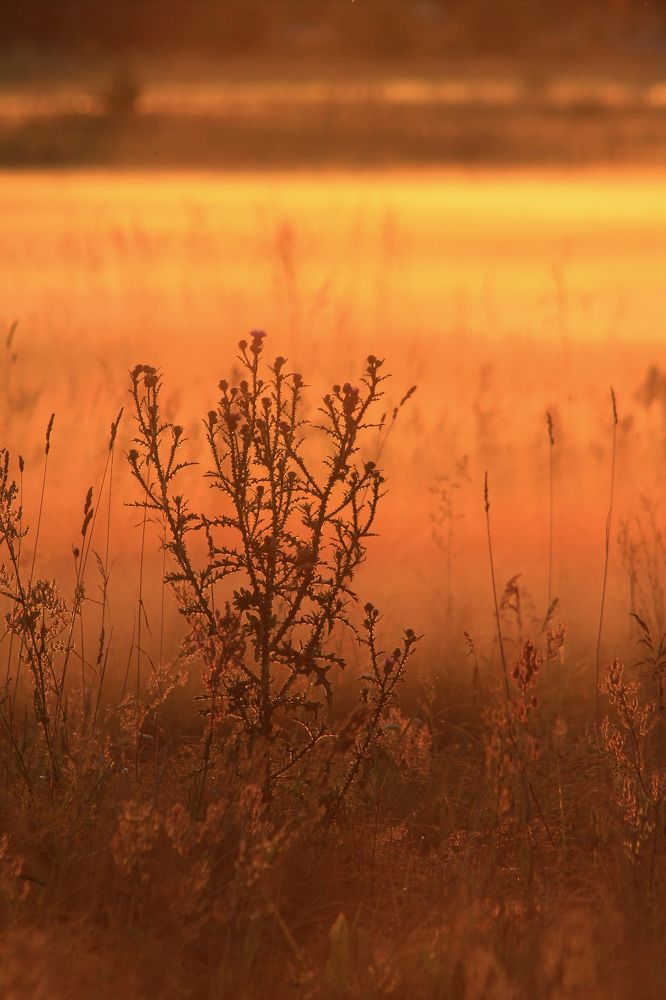 Photograph by Анастасия Псарёва
