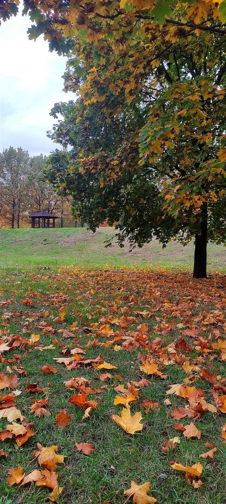 Фотография автора Васильева Ирина