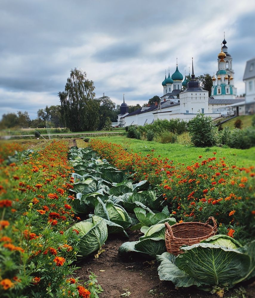 Photograph by Zina Lifanova