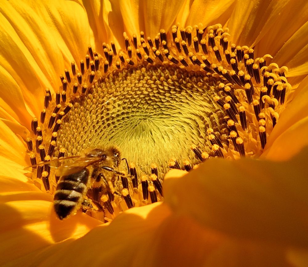 Photograph by Татьяна Романова