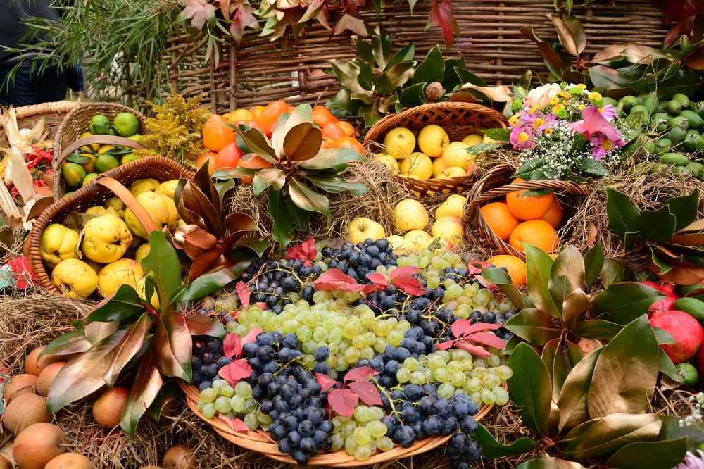 Photograph by Shota Gogoli