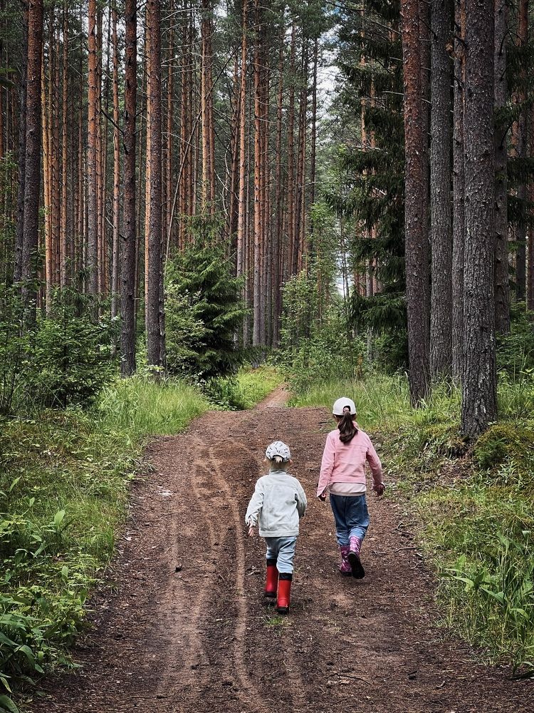 На поиски приключений